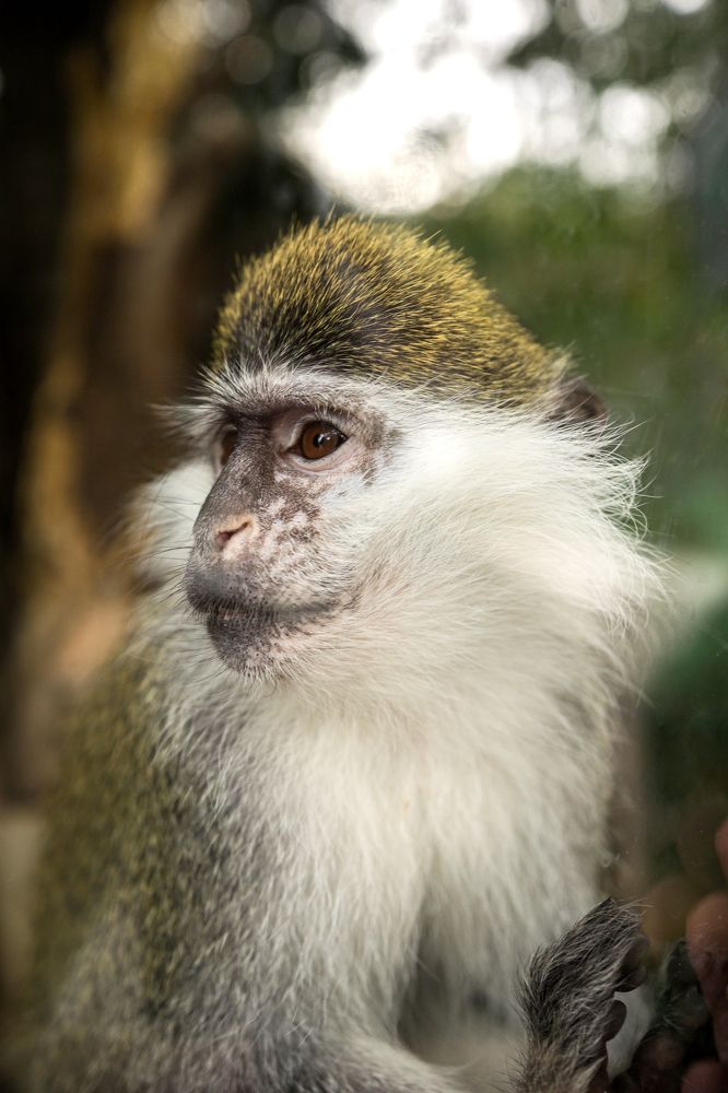 Photograph by Оксана Никулина