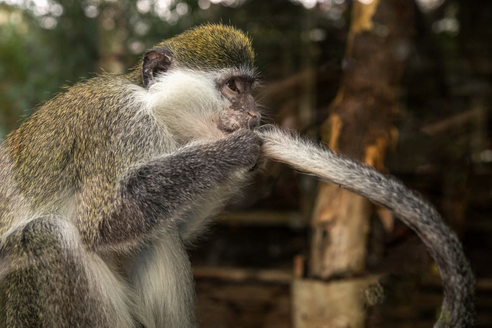 Photograph by Оксана Никулина