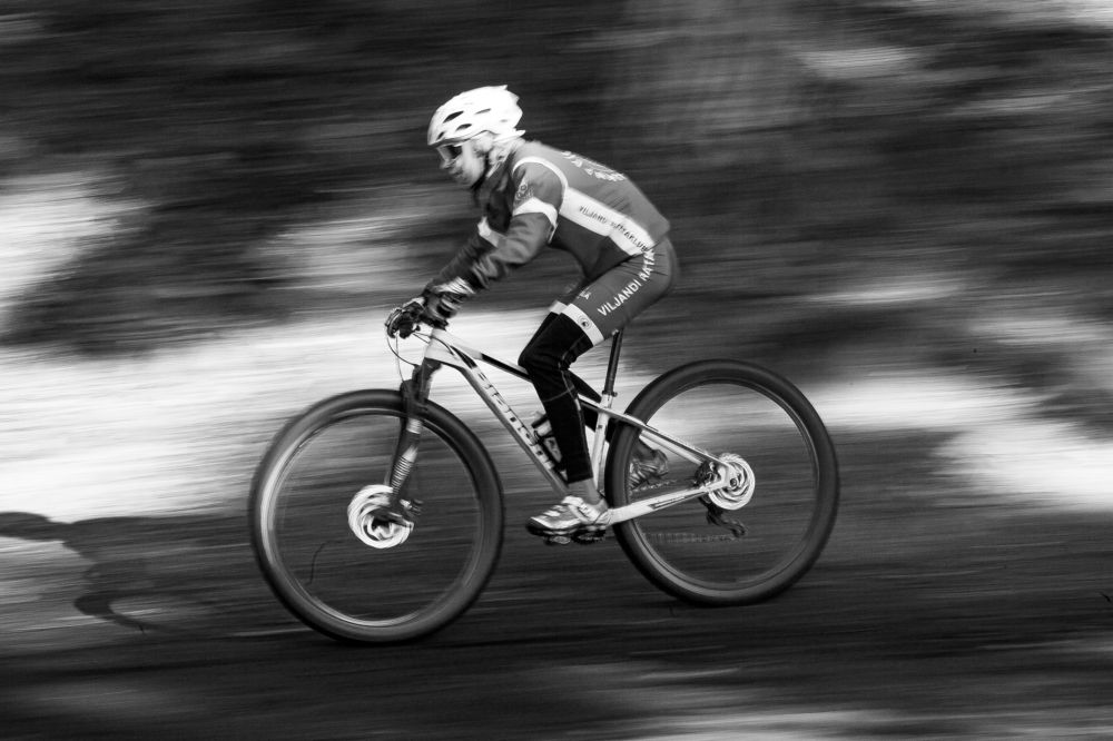 Фотография автора Снежана Вершинина