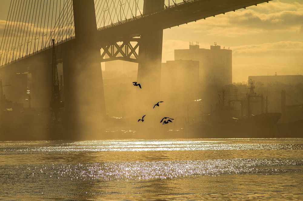 Photograph by Мария Маркина