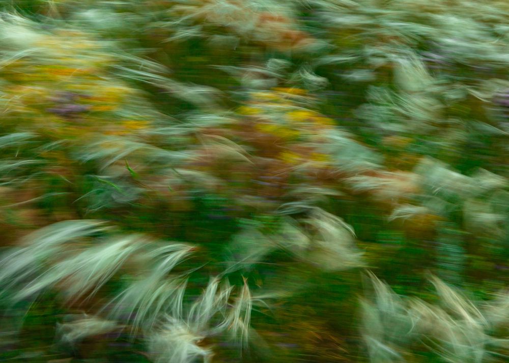 Photograph by Hamlet Maruqyan