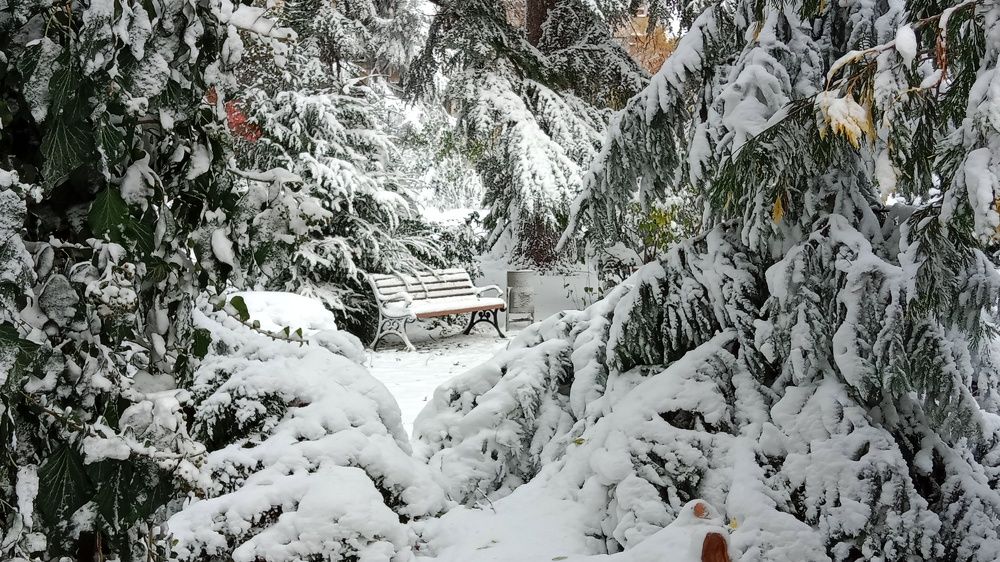 Photograph by Денис Лащ