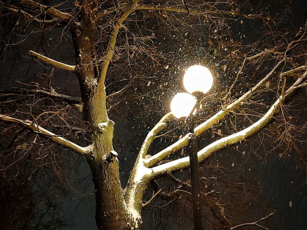 Горят ночные фонари