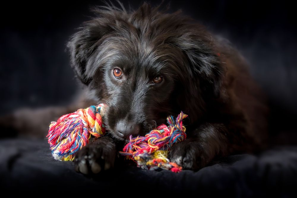 Photograph by Nataliya Nazarova