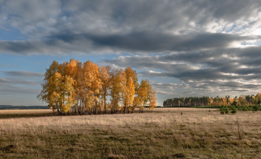 Photograph by Валерий Туманов