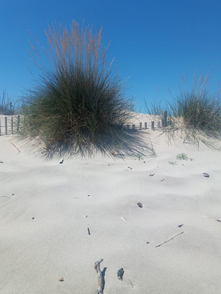 Photograph by Michel Myster