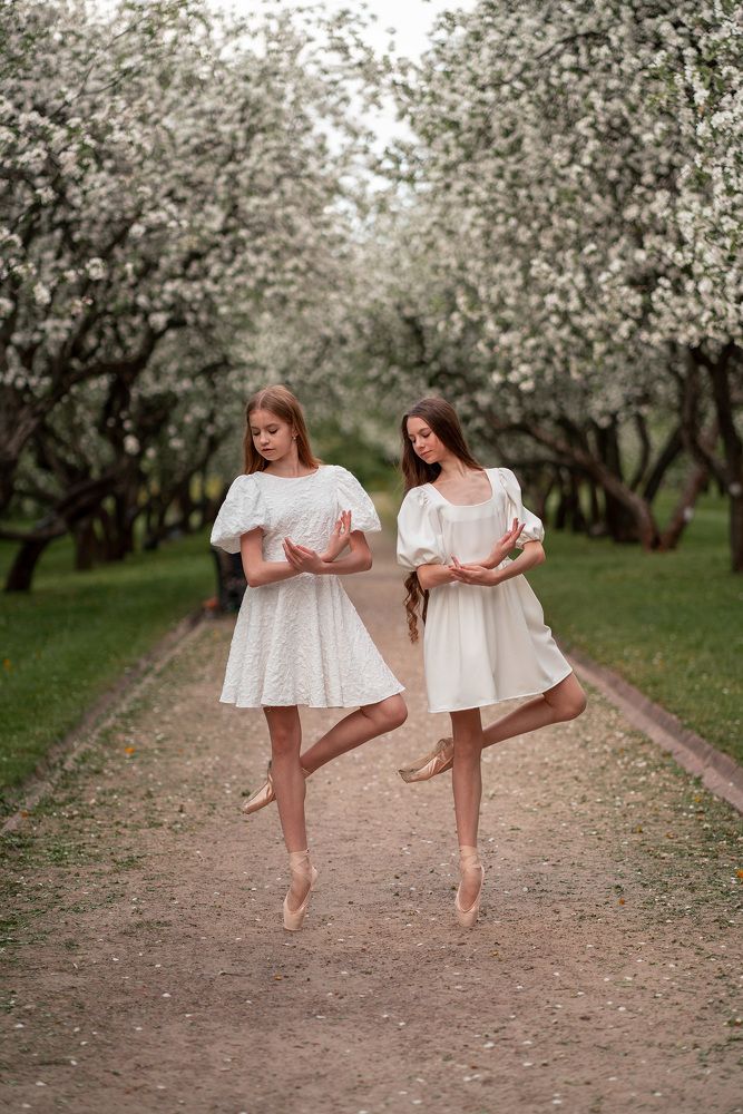 Цветущие яблони