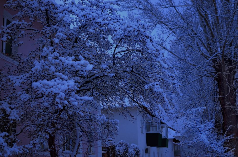 Photograph by Наталья Иванова