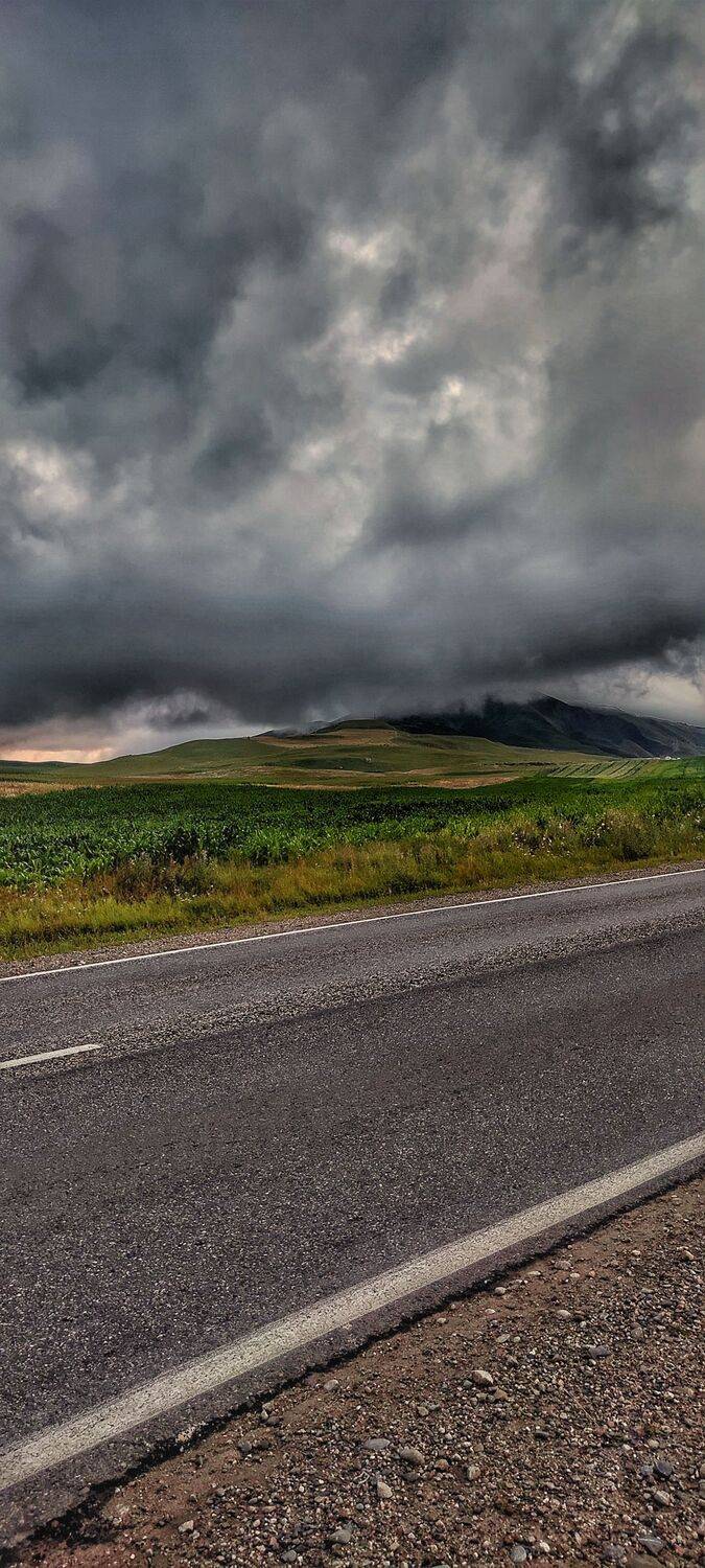 Photo #9926211