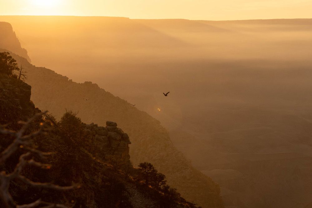 Фотография автора Ivan