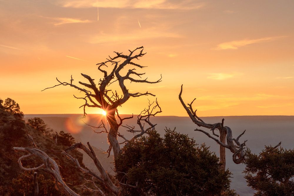 Фотография автора Ivan