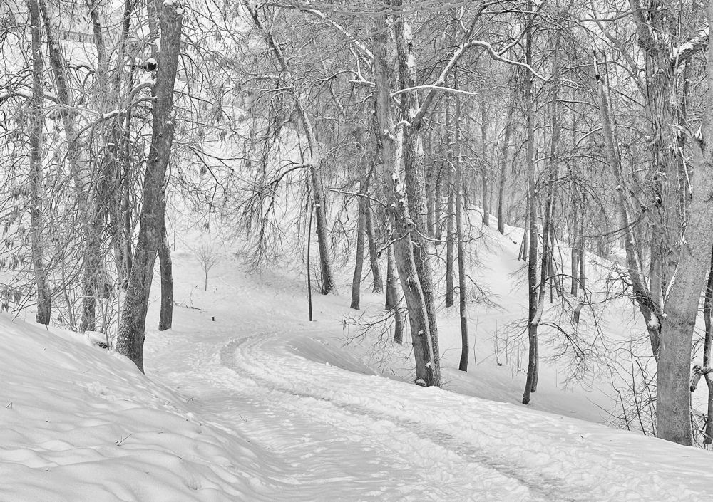 Photograph by Kuzmichev Alexey