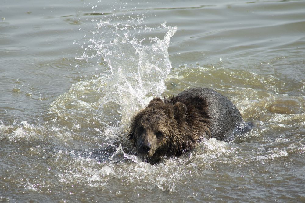 Photograph by Игорь Зиновьев