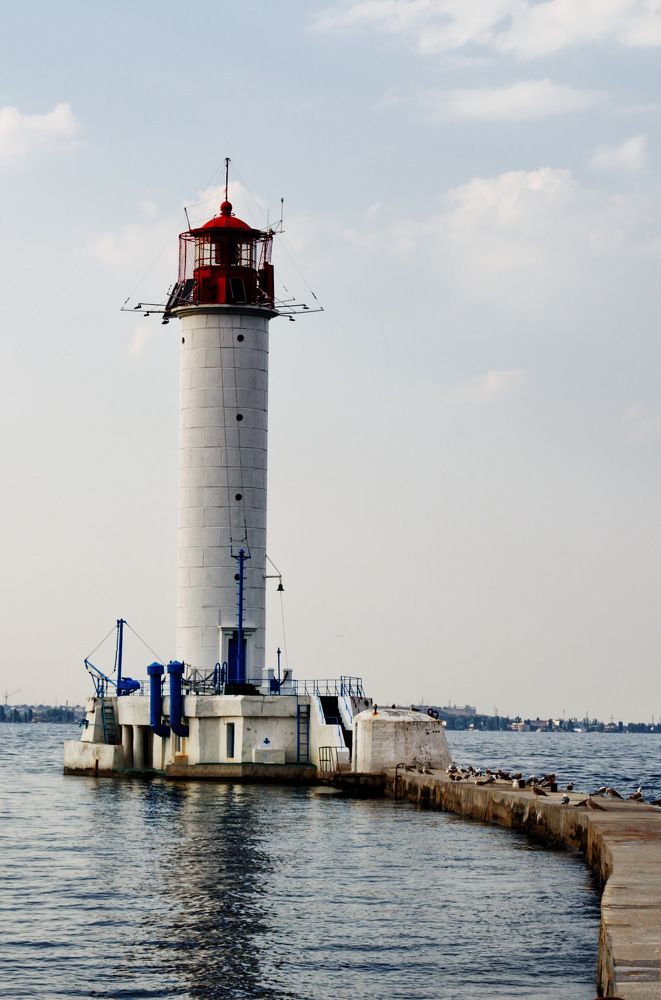 Фотография автора Андрей Неденко