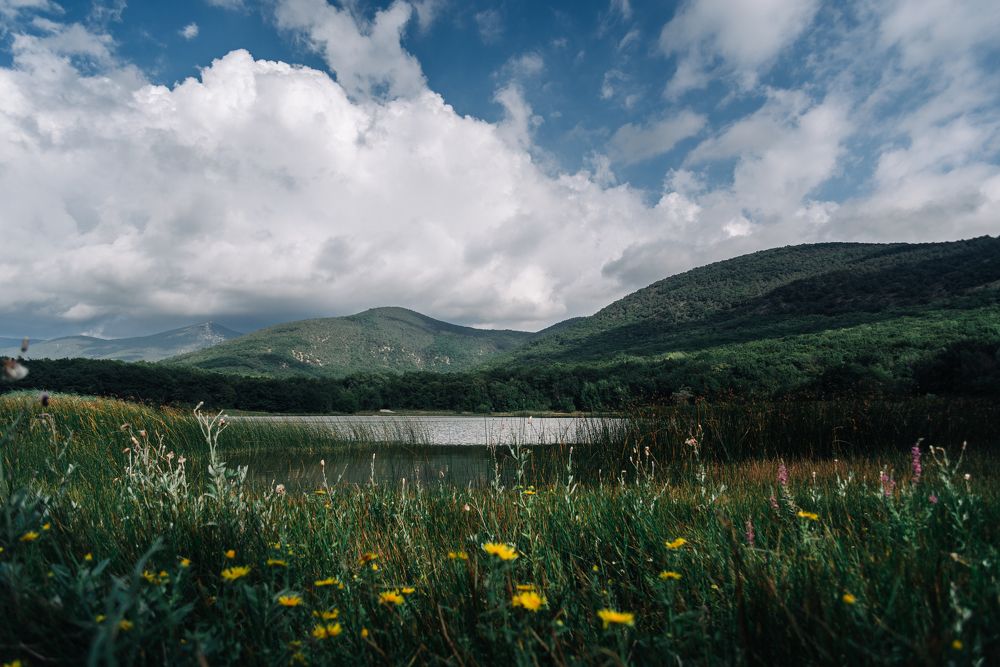 Photograph by Шалыгин Дмитрий