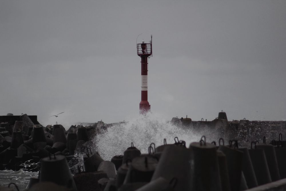 Фотография автора Анна Тищенко