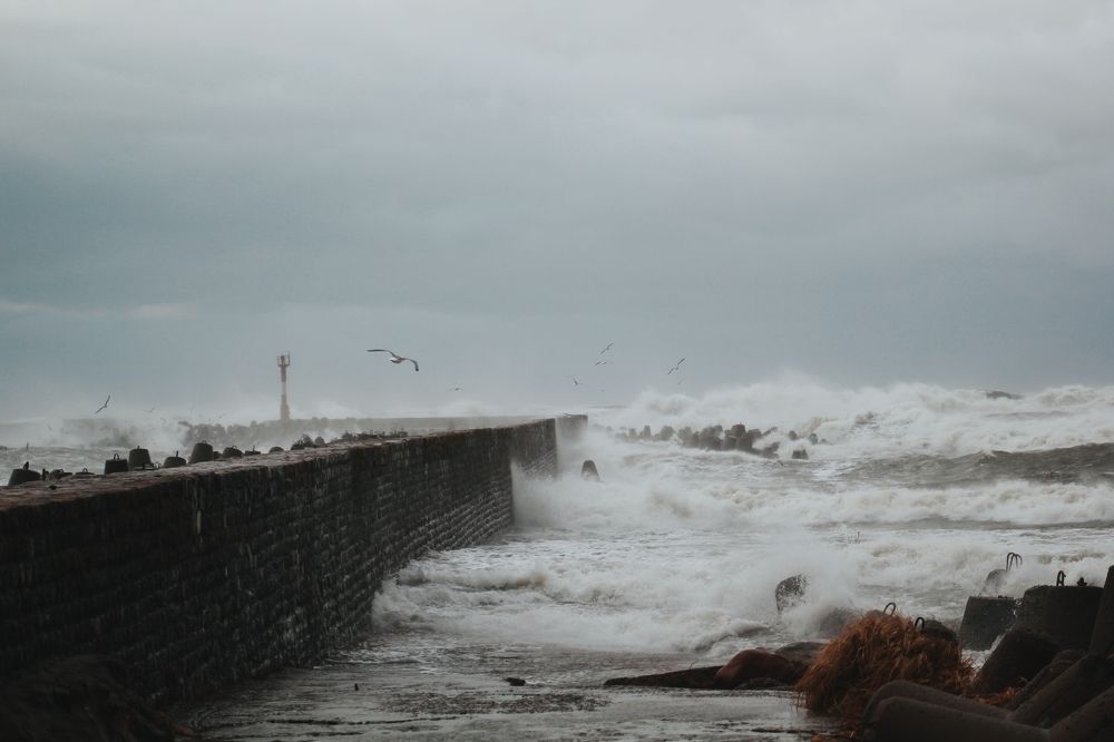 Фотография автора Анна Тищенко
