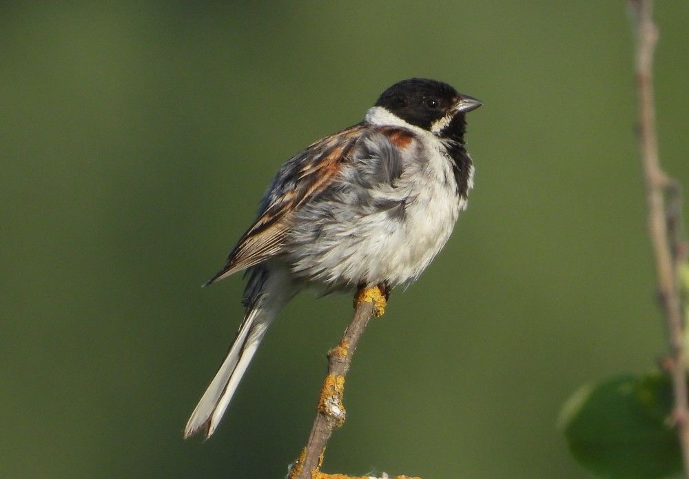 Photograph by Владимир Джерихов