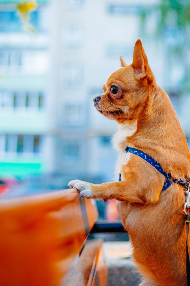 Photograph by Ксения Чикина