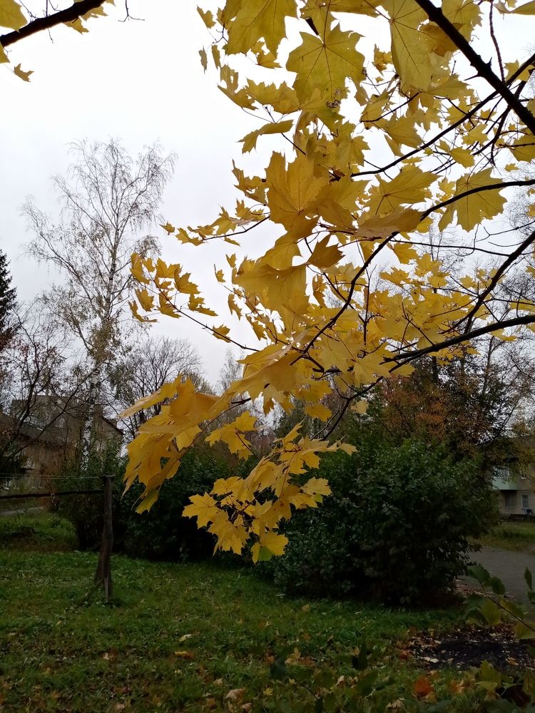 Photo #9926558