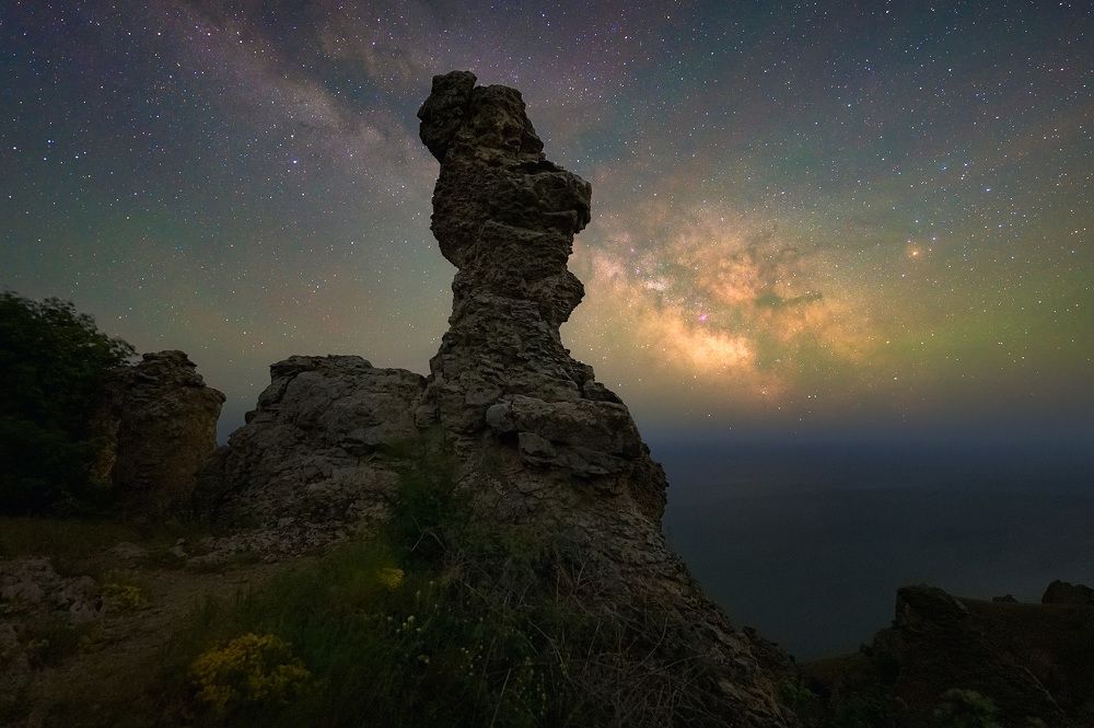 Пряничный конь.