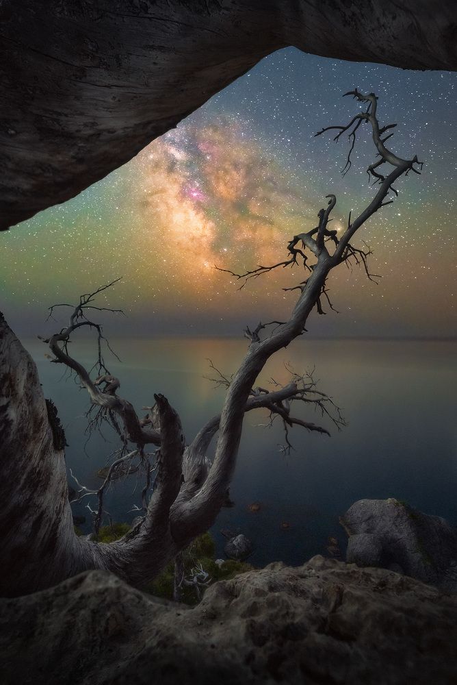 Ракурс, форма и текстуры.