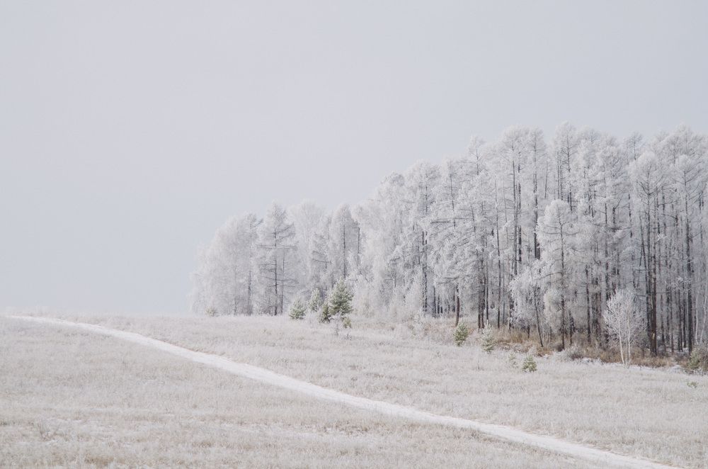 Photograph by Дмитрий Зуев