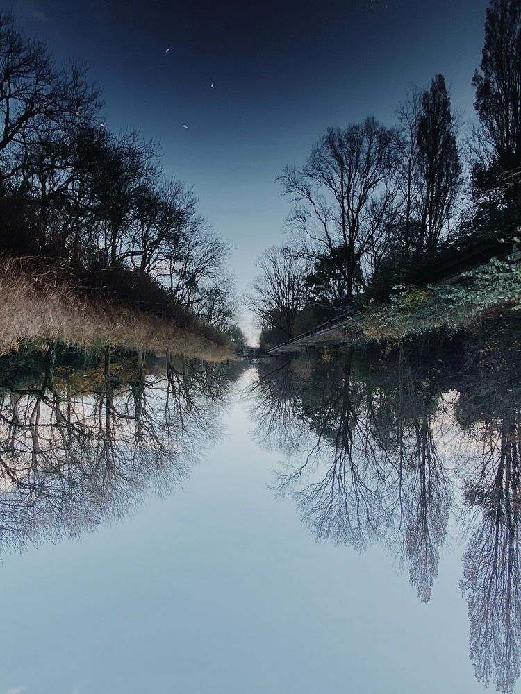 Dutch Winter Landscape