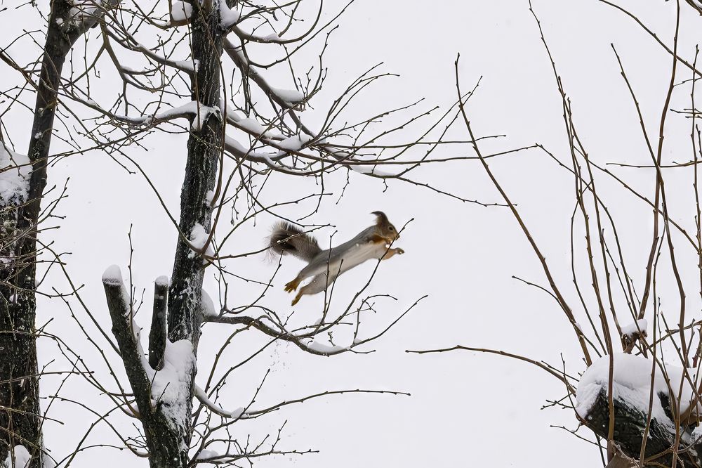 Photograph by Наталья Максимова