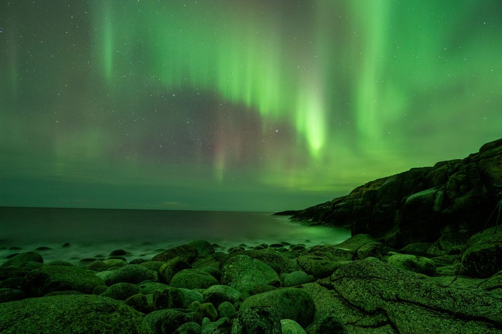 Photograph by Ирина Мошковская