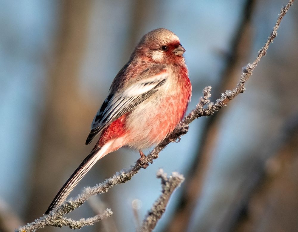 Photograph by Алексей