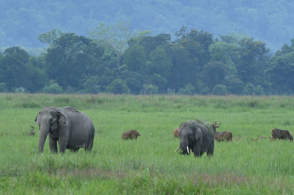 Photograph by Preet saluja