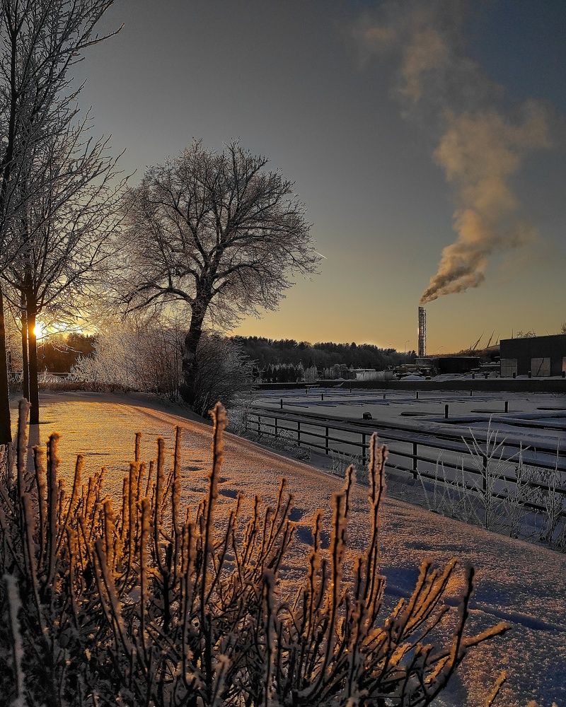 Photograph by Елена Гусева