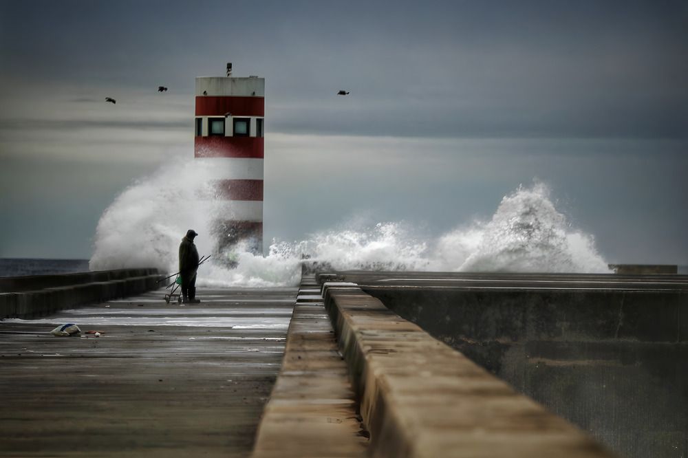 Photograph by Nuno Pacheco