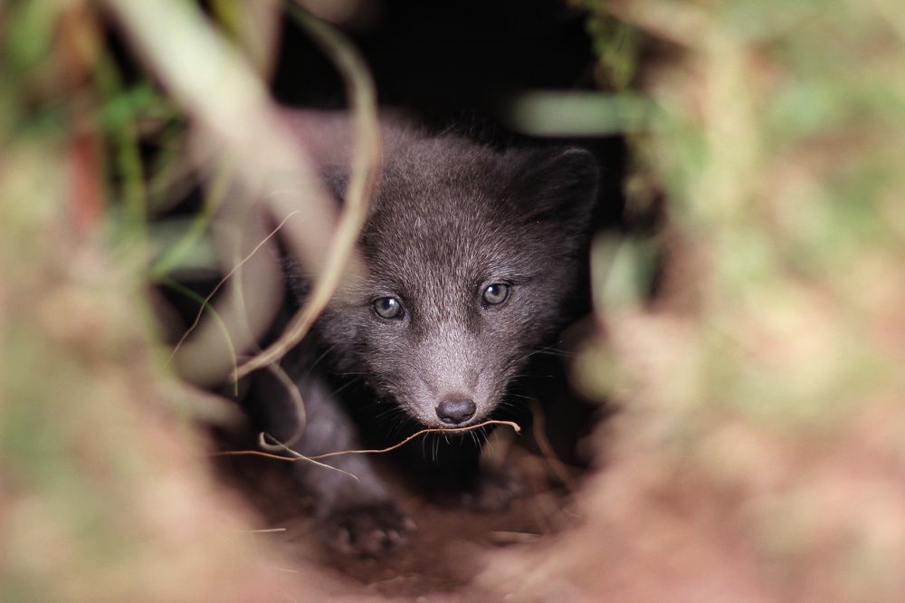 Photograph by Анжела Коленционок