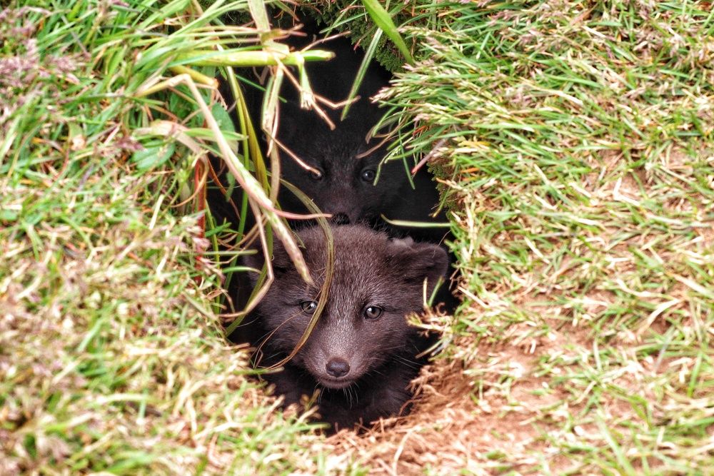 Photograph by Анжела Коленционок