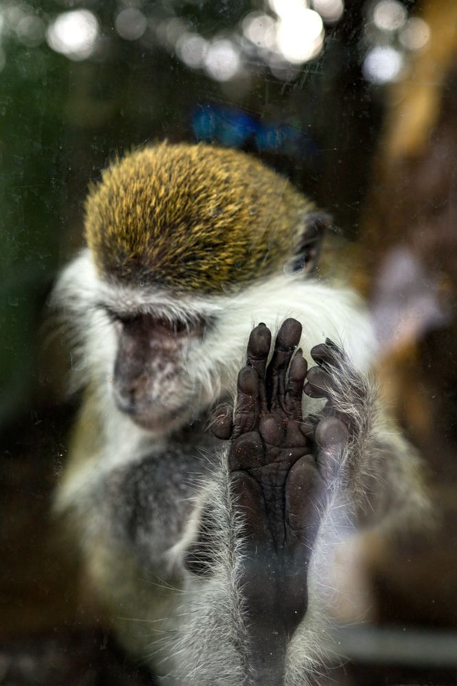 Photograph by Оксана Никулина