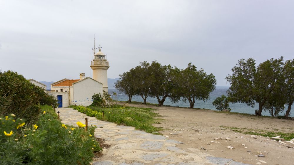 Photograph by Selma Kotancı