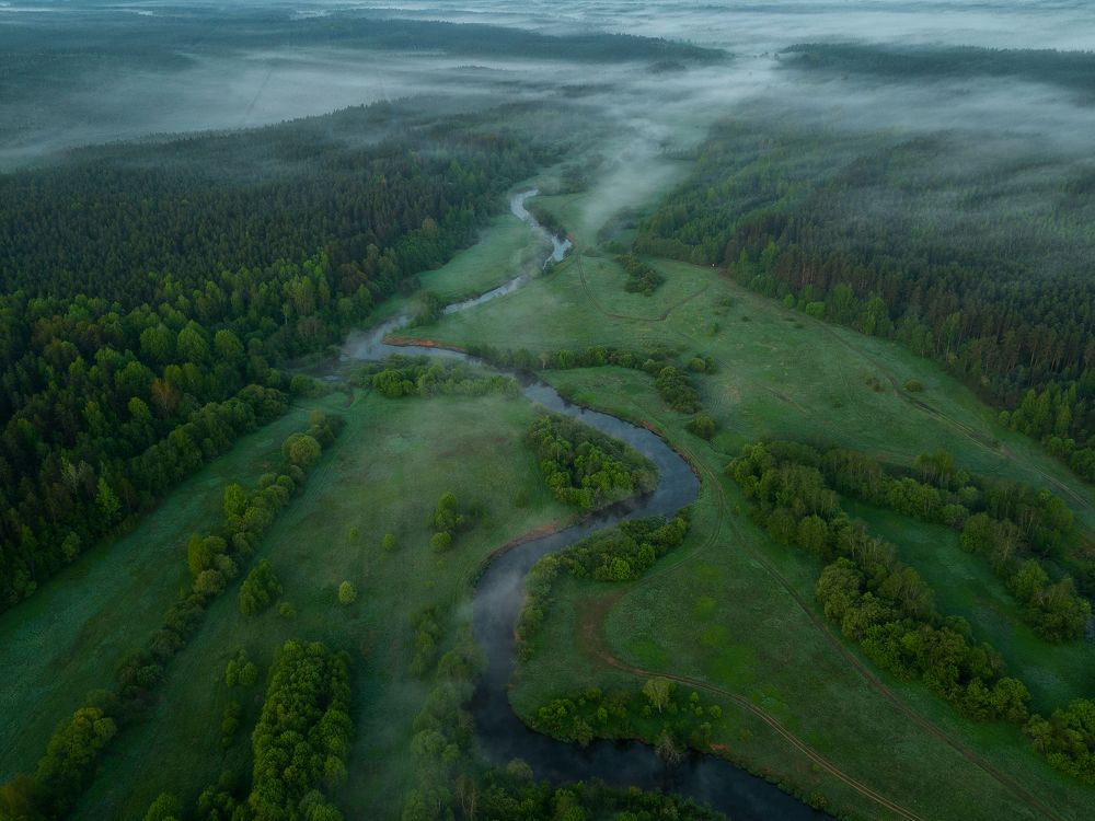 Фотография автора Александр Пашеничев