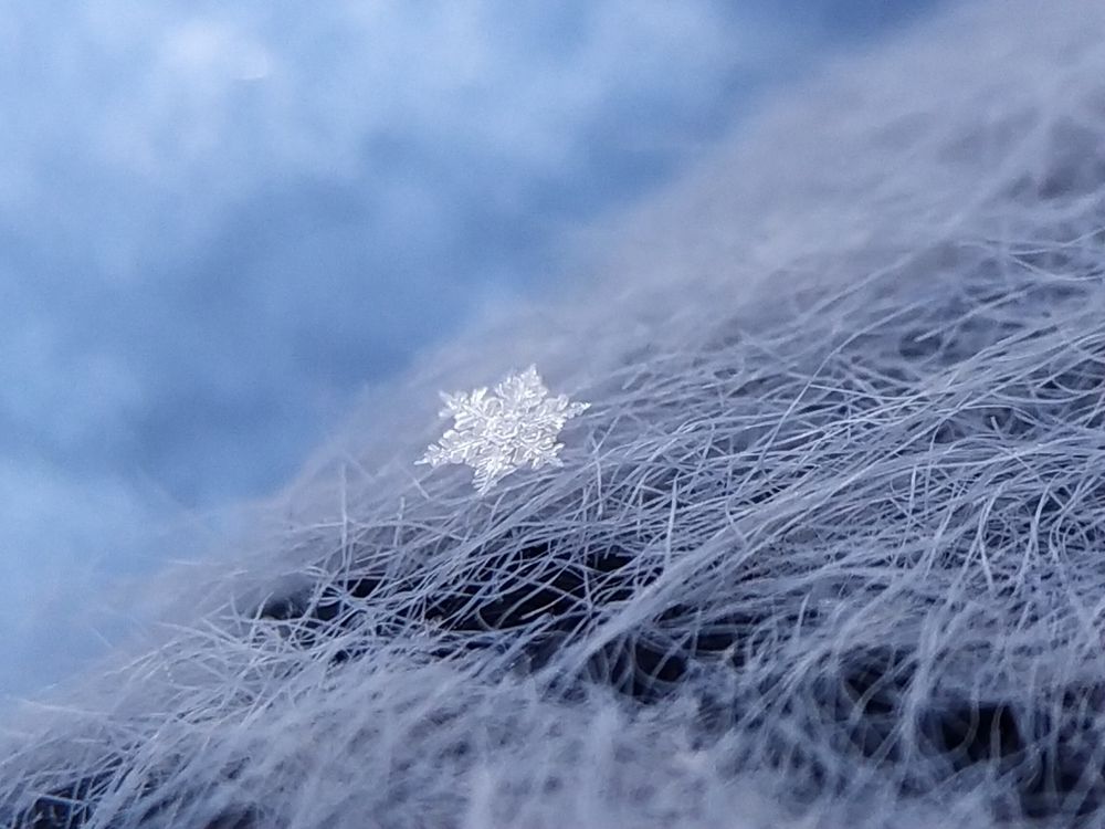 Photograph by Юлия Смирнова