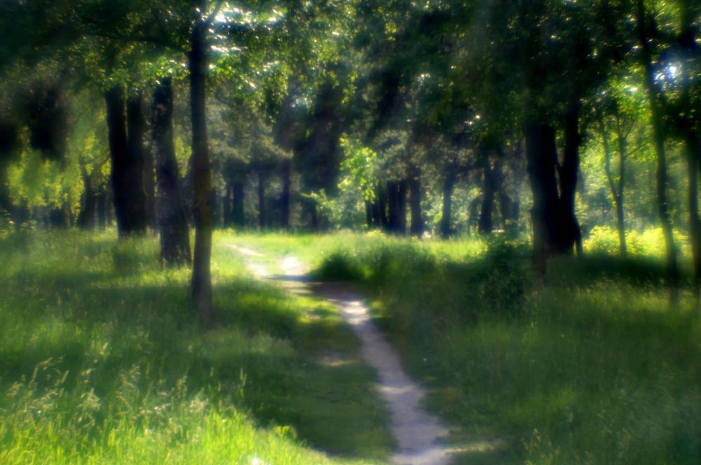 Photograph by Дмитрий Жуков