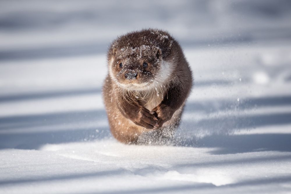 Photograph by Влад Соколовский