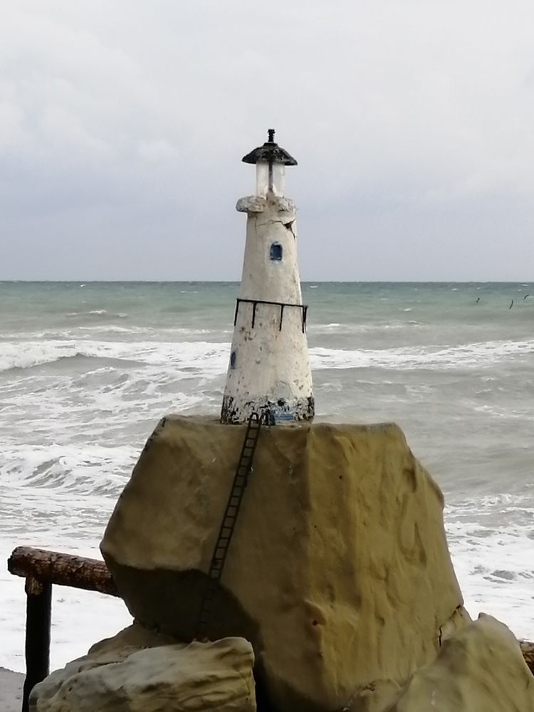 Photograph by Чкареули Светлана