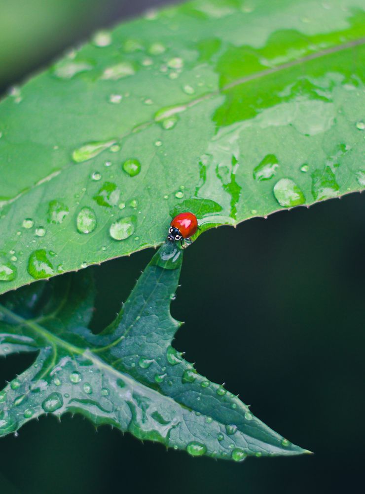 Photograph by Mariana Barboza