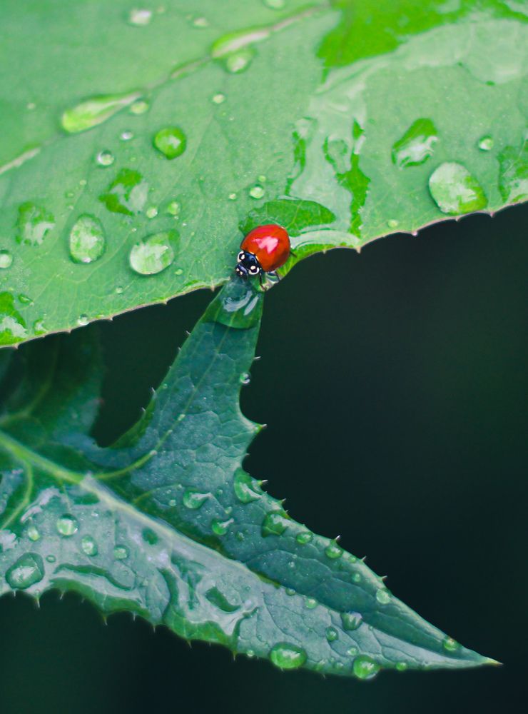 Photograph by Mariana Barboza