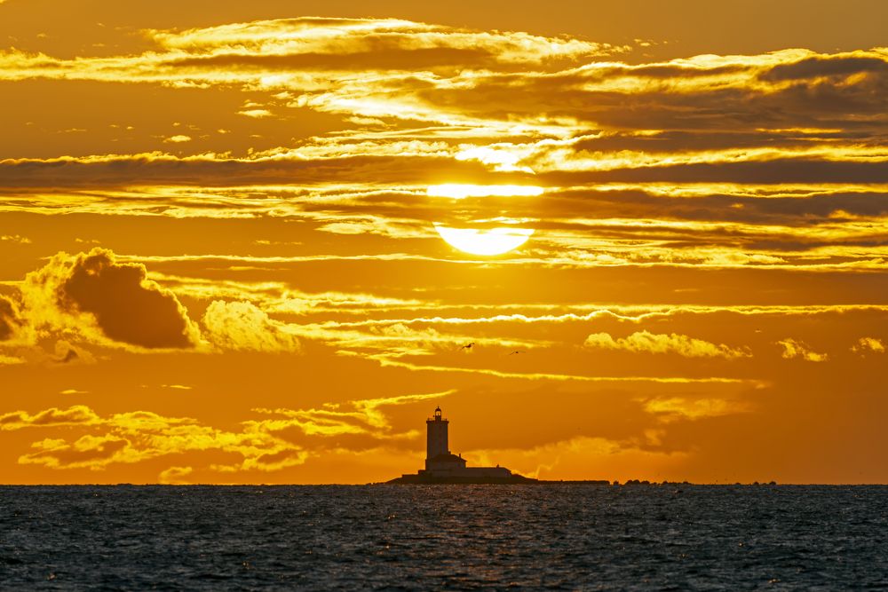 Photograph by Александр Бондаренко