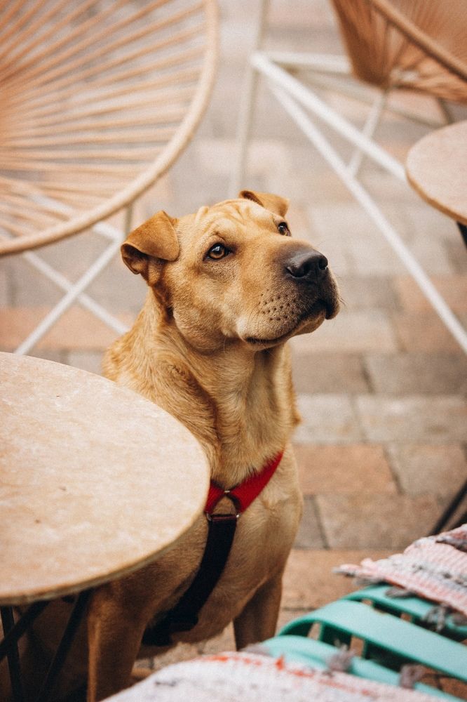 Photograph by Ангелина Ледовская