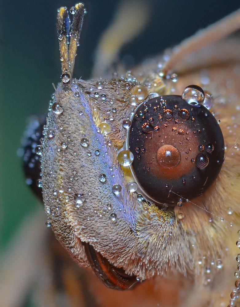 Photograph by Kasun Wickramasinghe