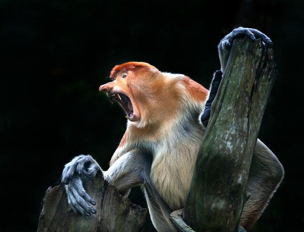 Photograph by Анатолий Макоедов