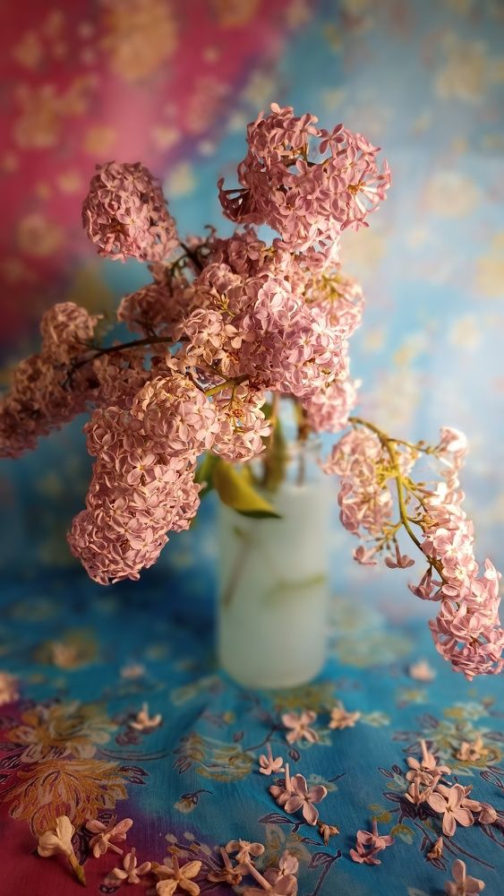 Photograph by Олеся Лосыгина